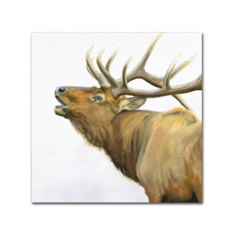 James Wiens 'Majestic Elk Brown Crop' Canvas Art,35x35